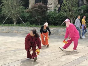 严纪珍 不遗余力传太极，义务辅导队里的暖心领路人